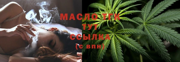 стаф Вязьма